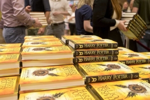 /pliki/zdjecia/hp 22.jpg